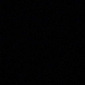 Meet your Posher, Lilyan